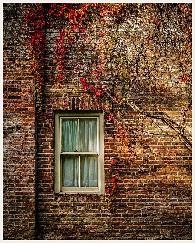 Autumn - Wallington Hall - My Favourite Photographs
