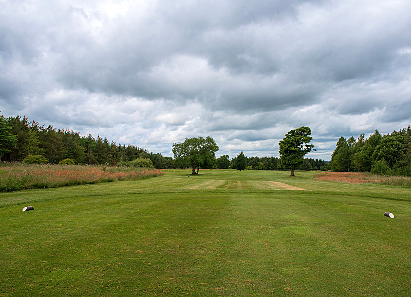 Hole 3 'Low Rigg' - 2025 Burgham Park Golf Club - Course Gallery