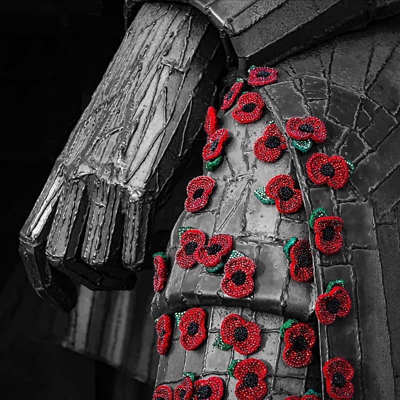 Tommy at Seaham - My Favourite Photographs