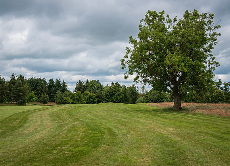 Hole 3 'Low Rigg' - 2025 Burgham Park Golf Club - Course Gallery