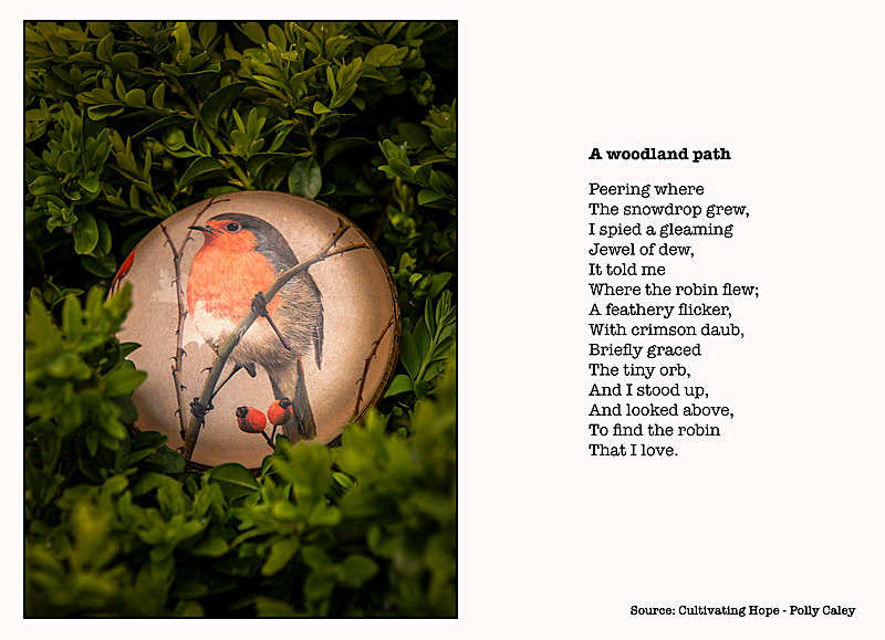 A woodland path - Cultivating Hope
