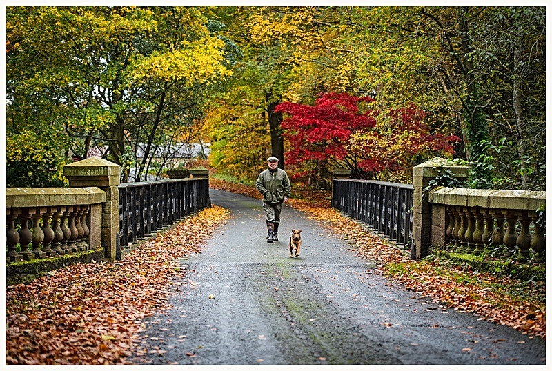 Autumn - 'One Man and his Dog' - My Favourite Photographs