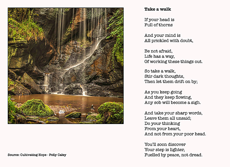 Take a walk - Cultivating Hope