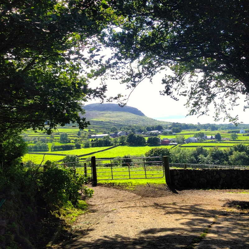 Slemish - Taken From Our Back Yard - Miscellaneous
