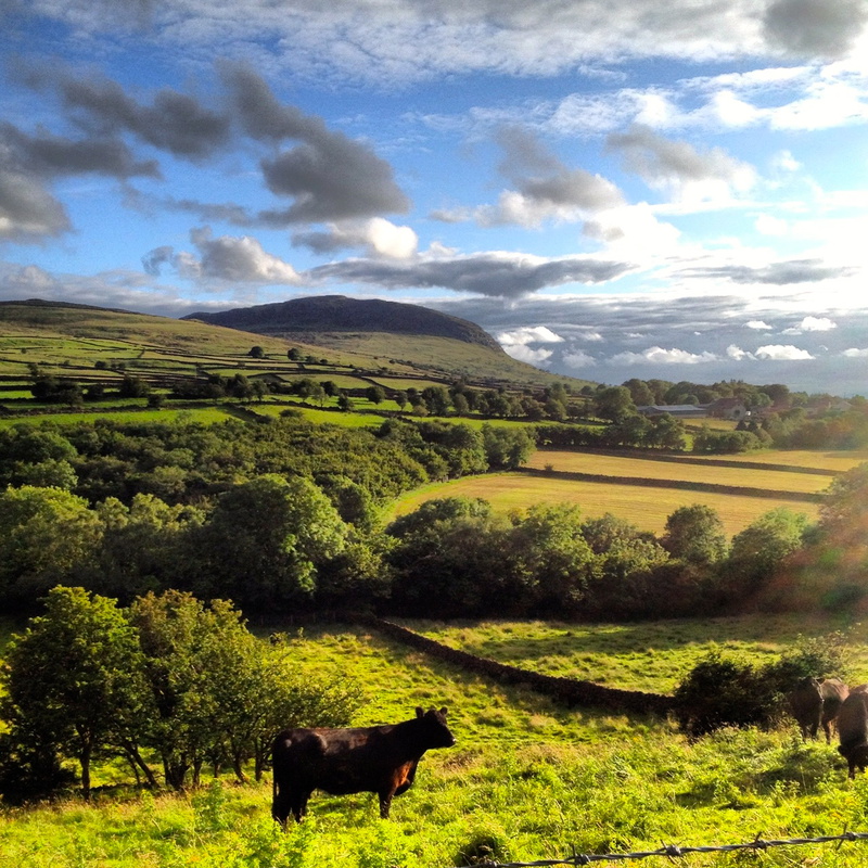Slemish - Miscellaneous