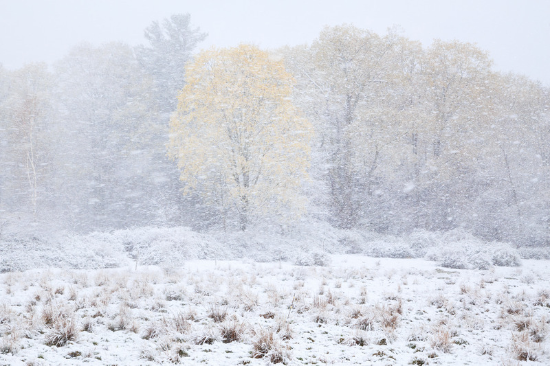 Mid May Snowstorm - Simplicity