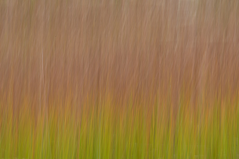 The Tarn ICM, Acadia National Park - Acadia National Park, Maine