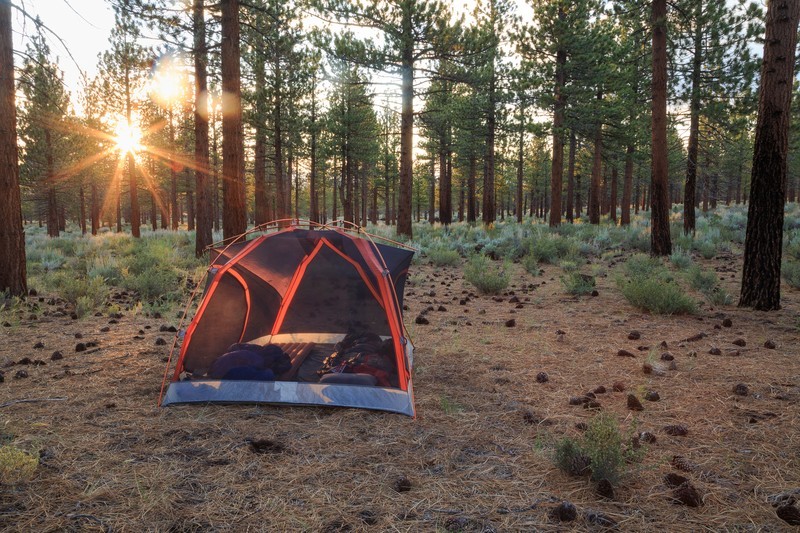 Remote Dispersed Camping Inyo National Forest - California
