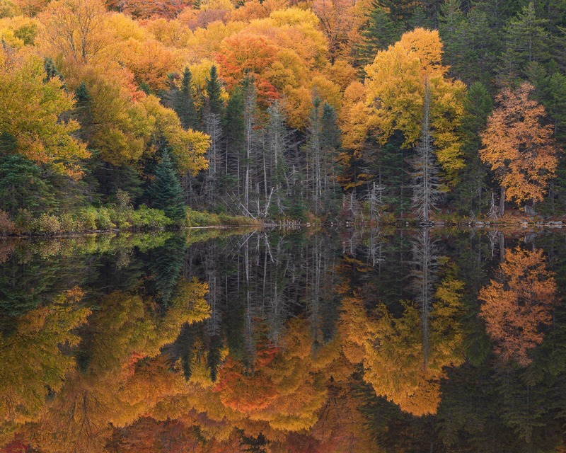 Tranquility, White Mountain National Forest, New Hampshire - White Mountains, New Hampshire