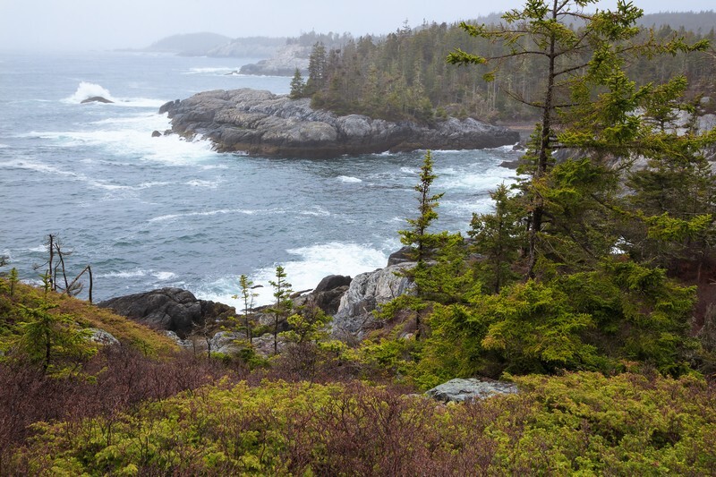 Cliff Trail Isle Au Haut Acadia National Park