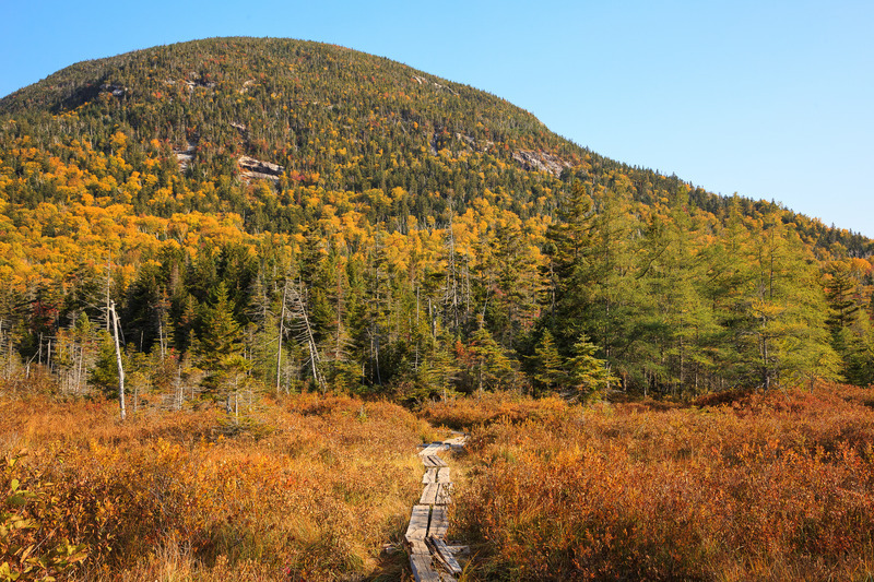 Lonesome Lake Trail, Cannon Mountain, White Mountains, NH - White Mountains, New Hampshire