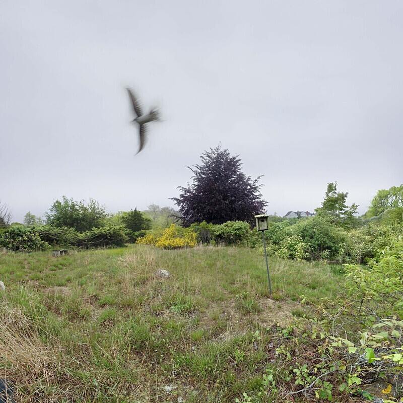 Abandoned Farm, Nantucket - Coastal - Sites in New England
