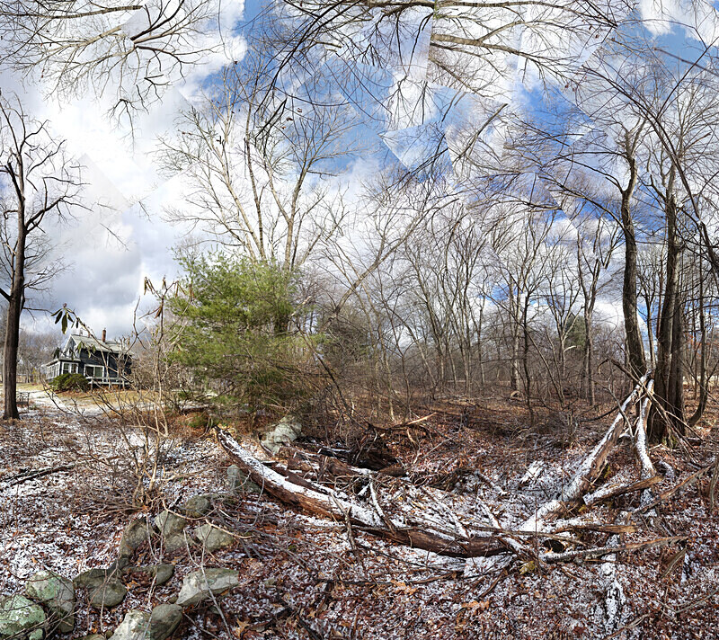 Assessing the damage - Walpole Ma - New England Woods