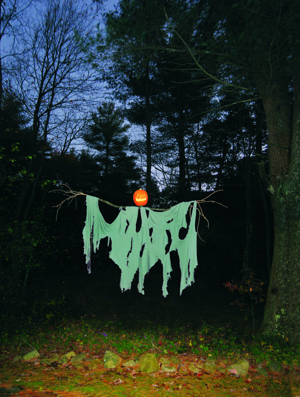 Twigs - More Halloween