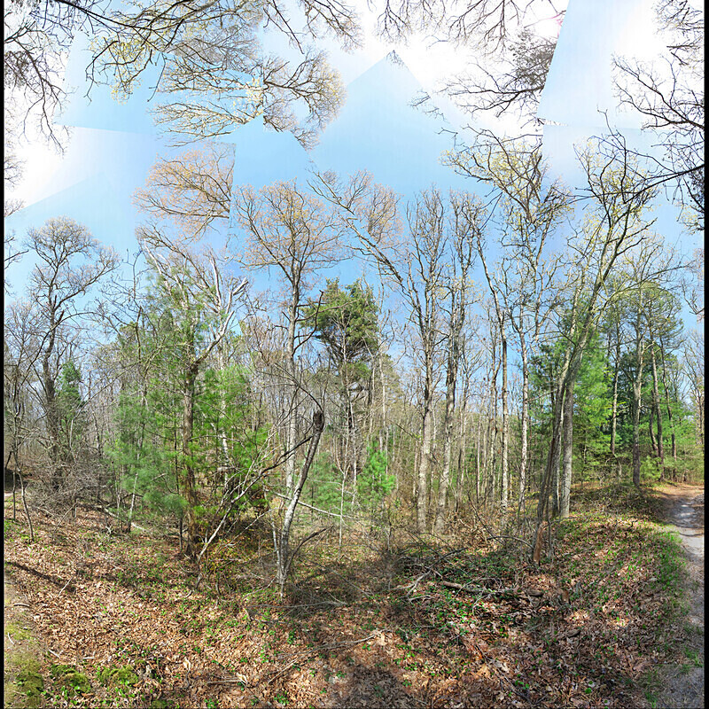 Spring Blush, Beebe Woods Falmouth - Coastal - Sites in New England