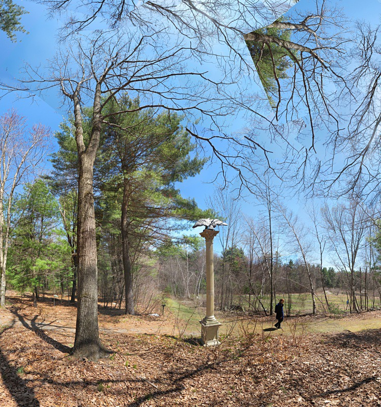Bird Watch - Tower Hill - New England Woods