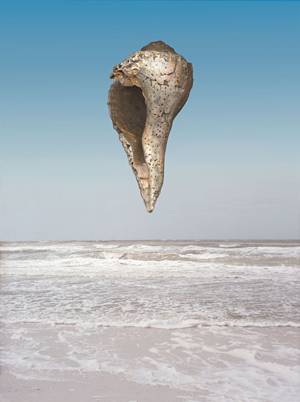 Shimmer - Ocean Shell