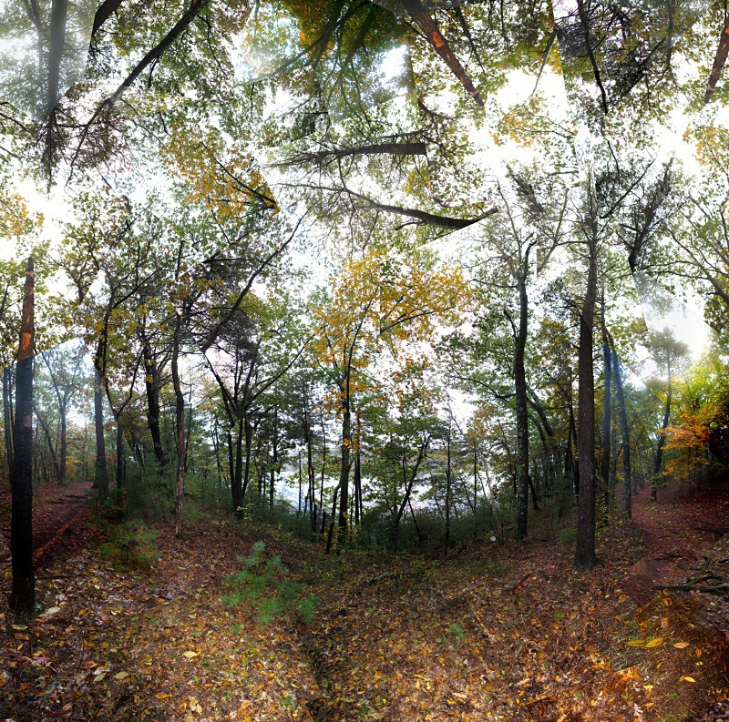 Fog - Walden Pond (Fall foliage) - Walden and Cape Cod