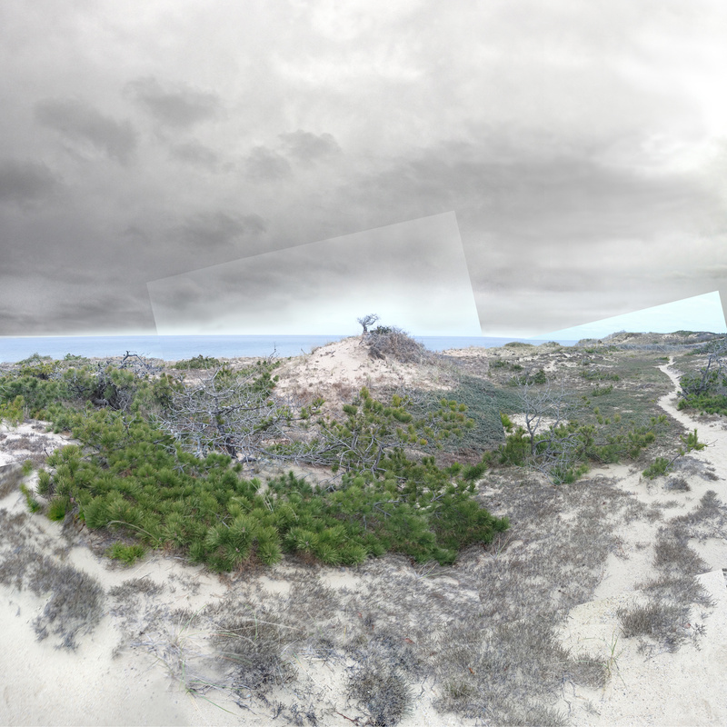 The Lookout - Marconi Beach, Cape Cod (#4) - Walden and Cape Cod