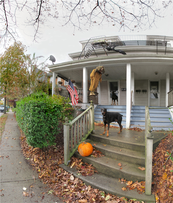 Somewhere in Newport - More Halloween