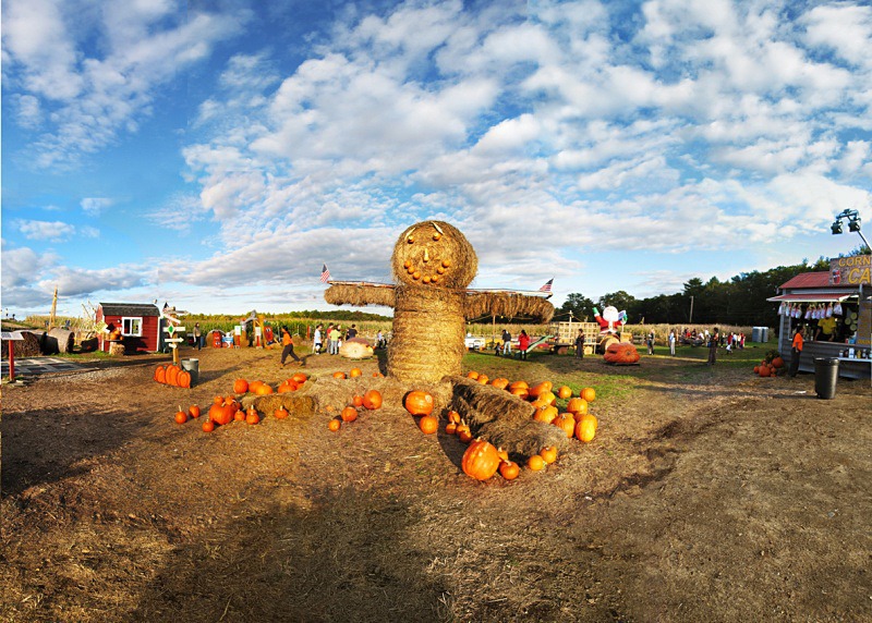Corn Maze Marini Farm Ipswich - Halloween