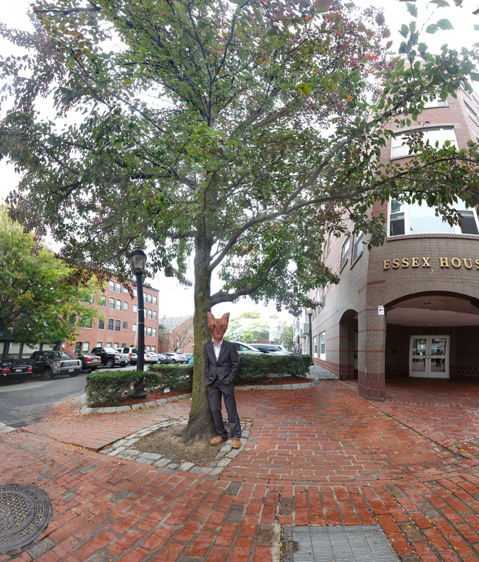 Cool Cat, Salem, MA - More Halloween