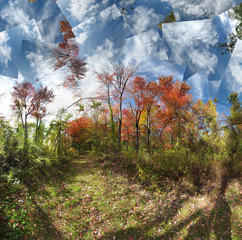 Frenzied thoughts -Fruitlands - Fruitlands
