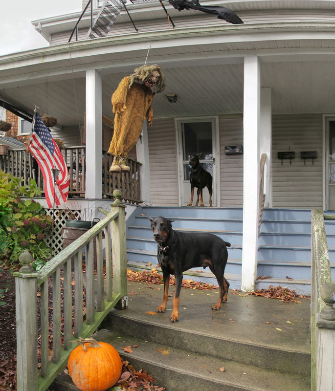 Somewhere in Newport (detail) - More Halloween