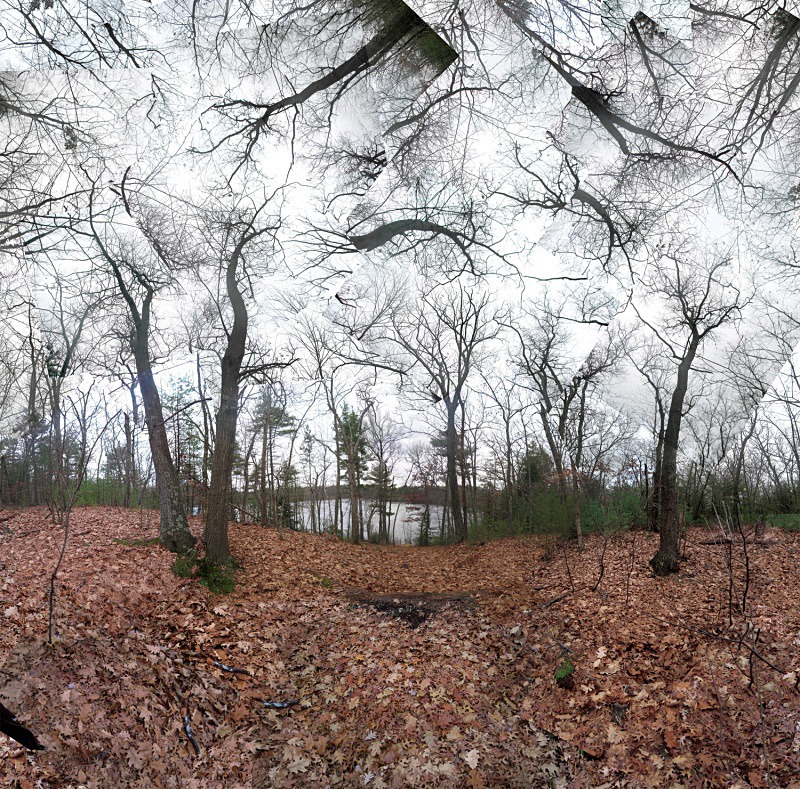 Pond in November (Walden Pond State Reservation) - Walden and Cape Cod