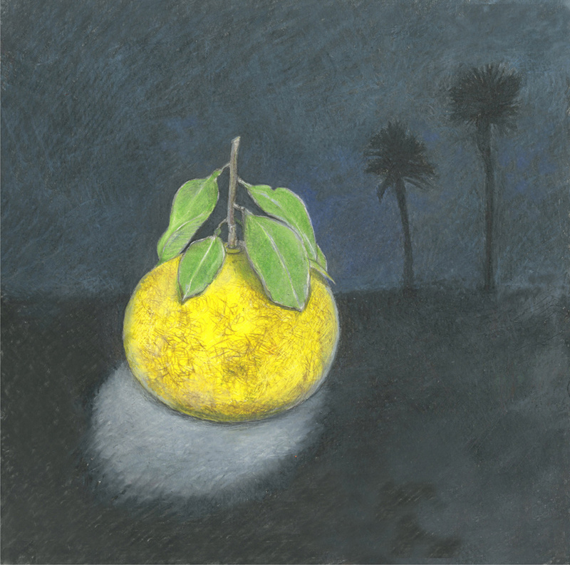 Meyer and palms - Botanicals & variations