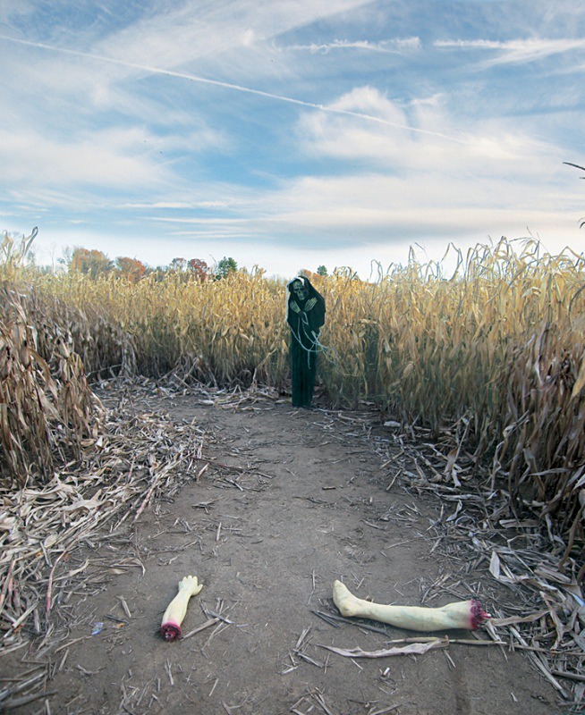 The morning after - Halloween