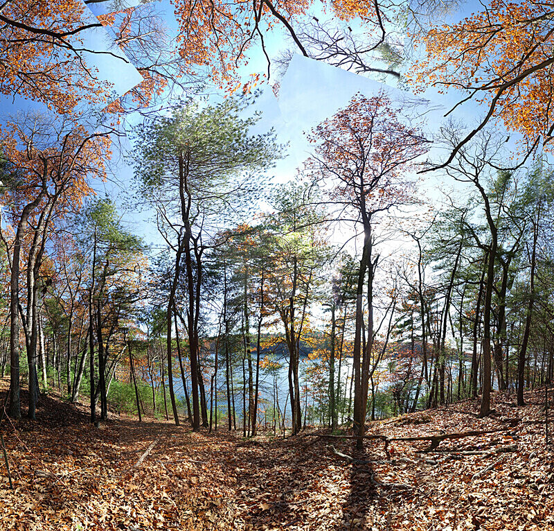 The Pond in October, Walden - Walden and Cape Cod