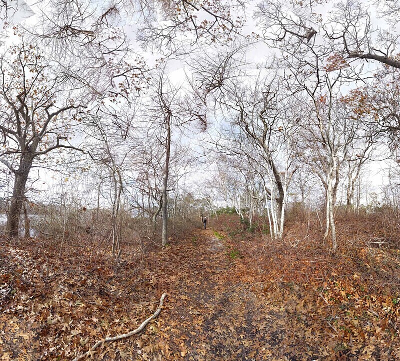Following Henry Thoreau - Outer Cape Cod - Coastal - Sites in New England