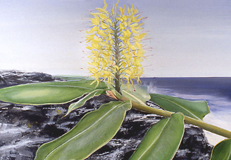 Melemele - Botanicals & variations