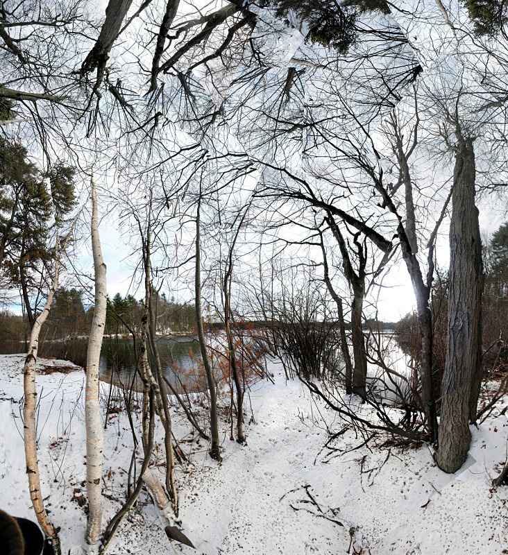 Tracks, Walden Pond - Walden and Cape Cod