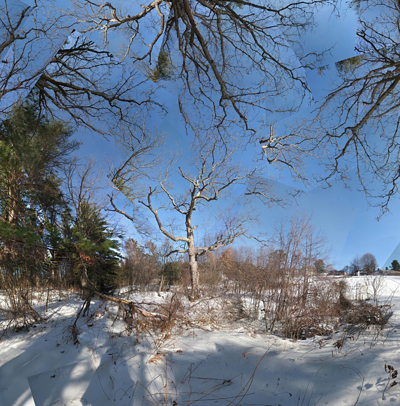 Radical departure - Fruitlands  - Fruitlands