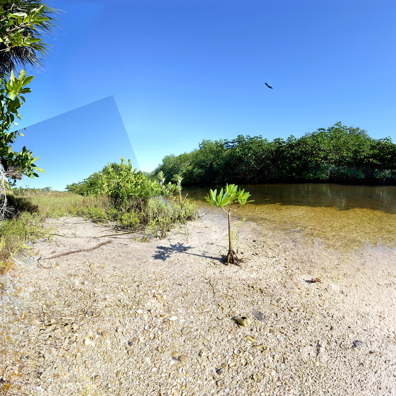The Garden (Sanibel Island) - Florida