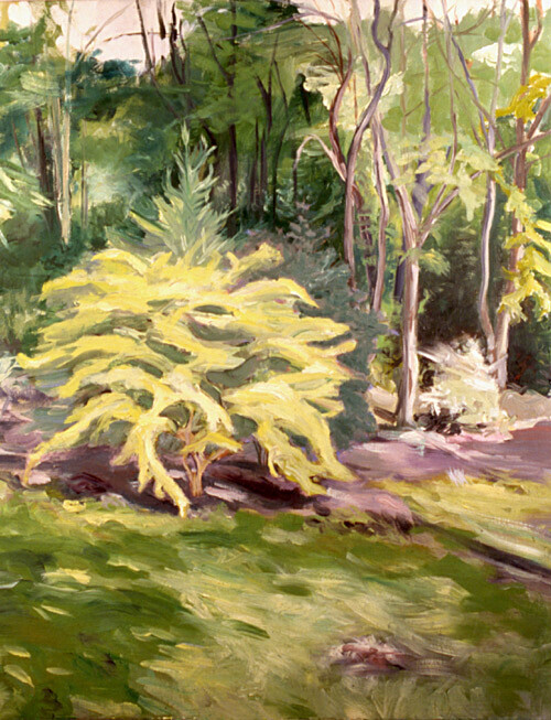 Tangential - Oil on Canvas