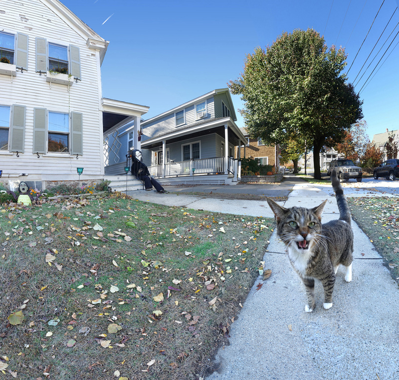 Local Gossip, Swampscott - More Halloween