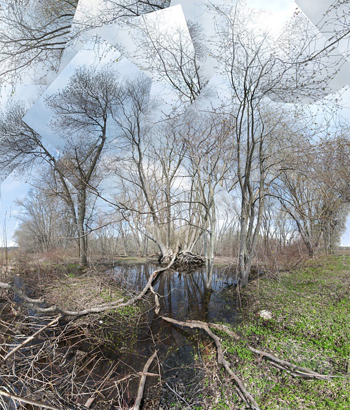 Source - Great Meadows, Concord - New England Woods