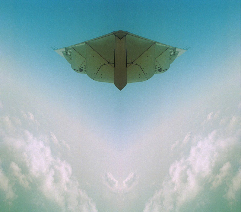 Moth - Flying