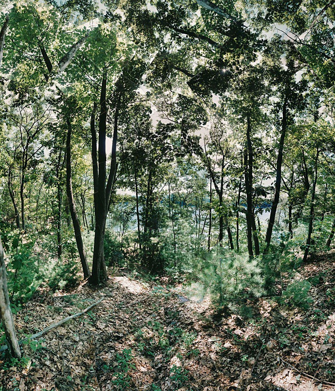 Shelter,  Walden Pond - Walden and Cape Cod