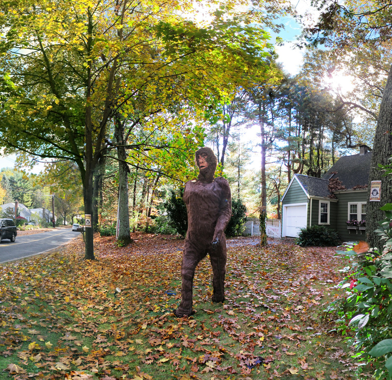 In the neighborhood (detail) - More Halloween