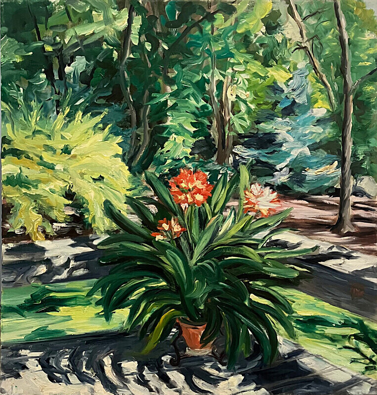 Clivia in Summer - Oil on Canvas