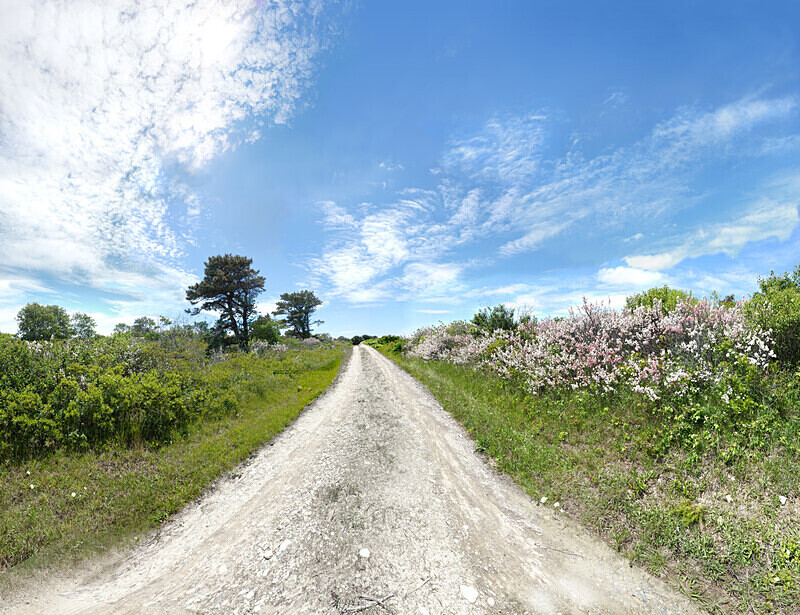 Near Polpis road, Spring - Nantucket - Coastal - Sites in New England