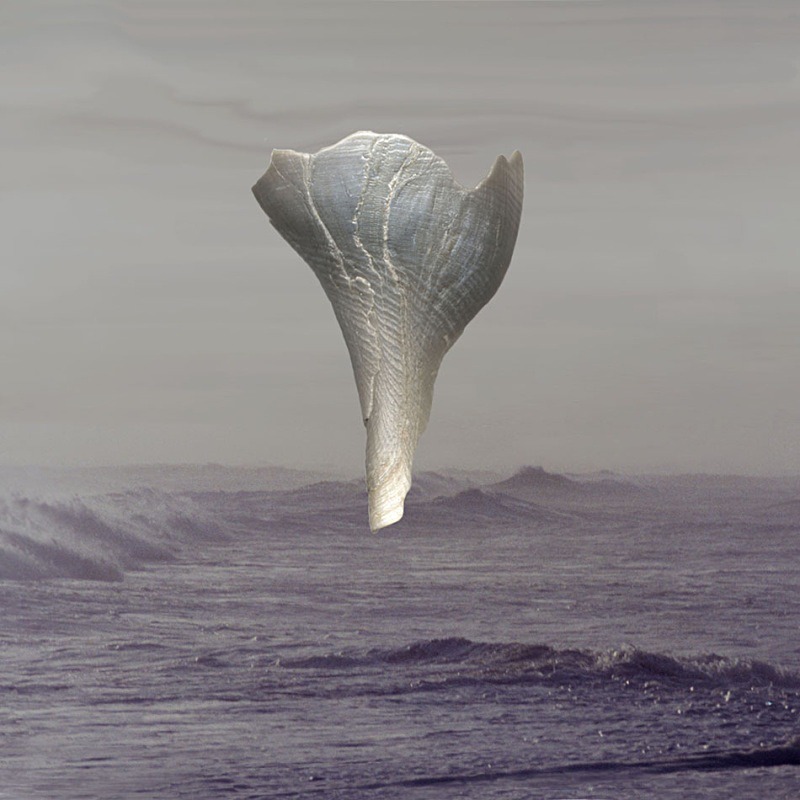 Time - Ocean Shell