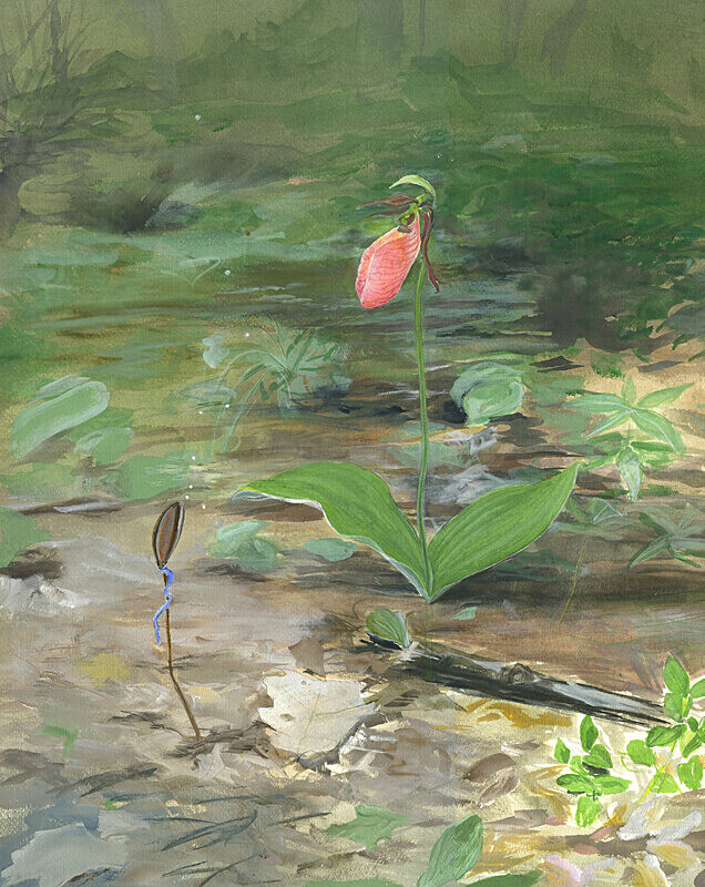 Listening (Garden in the Woods) - Botanicals & variations