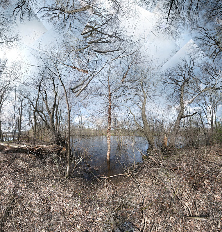 Spring - Great Meadows, Concord - New England Woods
