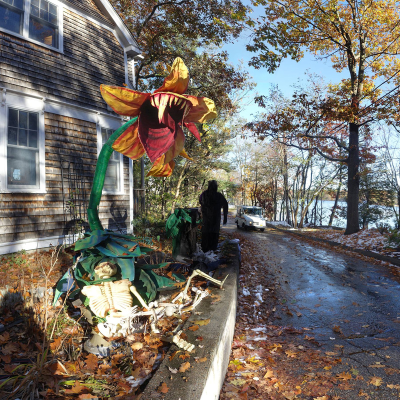 Feed me -- Wellesley, Ma. - More Halloween