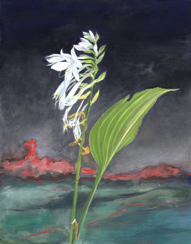 Night Hosta and Fire - Botanicals & variations
